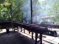 روستای مجسه