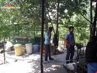 روستای مجسه