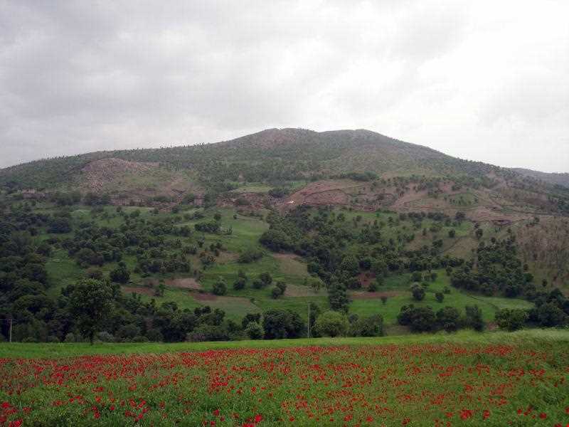 روستای نجنه علیا