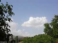 روستای نجنه علیا