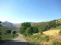 روستای نجنه علیا