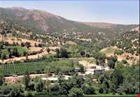 روستای نجنه علیا