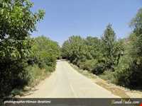 روستای نجنه علیا