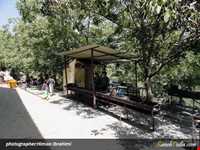 روستای نجنه علیا