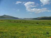 شهر تاریخی دشت حلقه