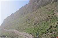 imam Zadeh Hamzeh arab