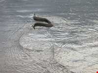 روستا و ساحل امیر آباد