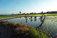 روستا و ساحل امیر آباد