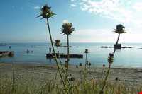 روستا و ساحل امیر آباد