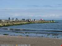 روستا و ساحل امیر آباد