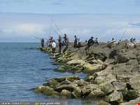 روستا و ساحل امیر آباد