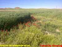 روستای خسرو آباد