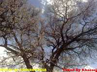 روستای خسرو آباد