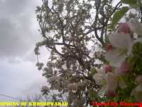 روستای خسرو آباد