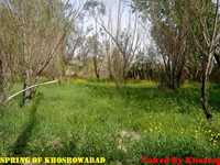 روستای خسرو آباد