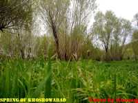 روستای خسرو آباد