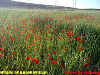 روستای خسرو آباد