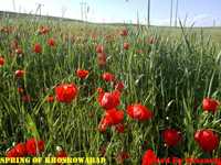 روستای خسرو آباد