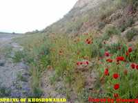 روستای خسرو آباد