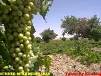 روستای خسرو آباد