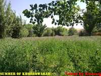 روستای خسرو آباد