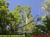 روستای خسرو آباد