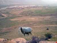 روستای صلوات آباد