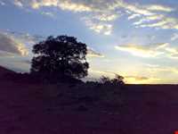 روستای صلوات آباد