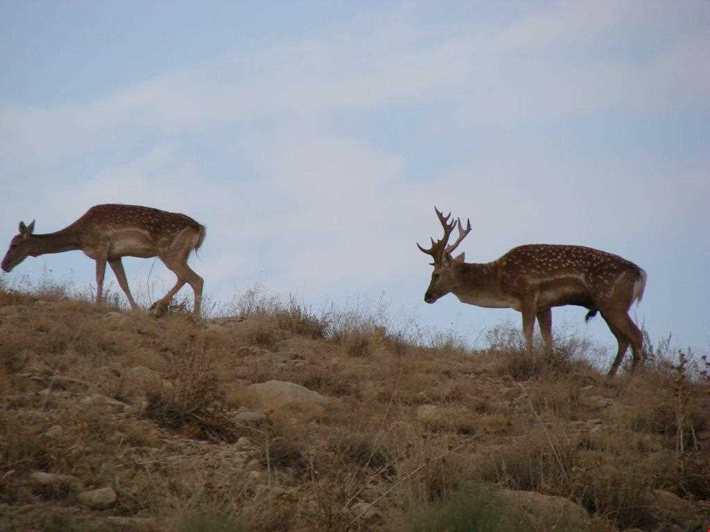 Bijar Protected Area