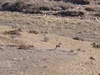 Bijar Protected Area