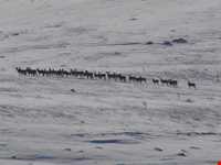 Bijar Protected Area