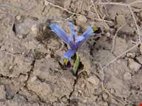 Bijar Protected Area