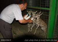 Bijar Protected Area