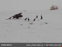 Bijar Protected Area