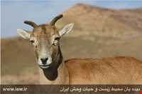 Bijar Protected Area