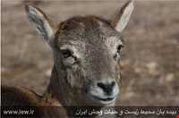 Bijar Protected Area