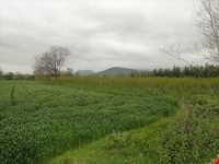 شهر قدیمی تمیشه ( سرکلاته تمیشه )