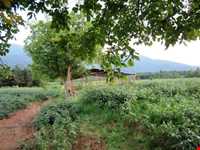 شهر قدیمی تمیشه ( سرکلاته تمیشه )