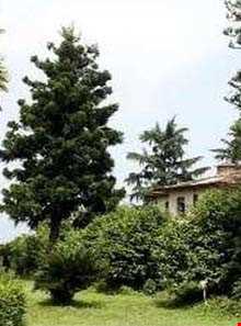 ایستگاه تحقیقات گل و گیاه زمینی لاهیجان ( باغ فلاحت )