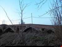 tamijan Adobe bridge