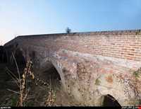 tamijan Adobe bridge