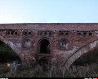 tamijan Adobe bridge