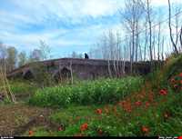 tamijan Adobe bridge