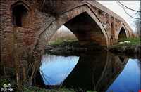 tamijan Adobe bridge