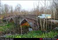 tamijan Adobe bridge