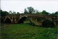 tamijan Adobe bridge