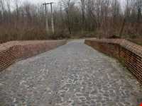 tamijan Adobe bridge