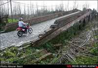 tamijan Adobe bridge