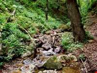 آبشار لارچشمه