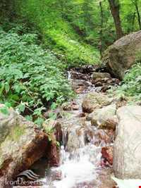 آبشار لارچشمه